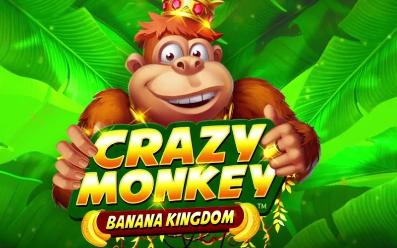 Head over to the slots section at Krikya online casino to find the Crazy Monkey game.